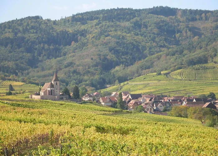 Chez Le Vigneron شقة