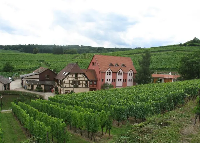 Chez Le Vigneron
